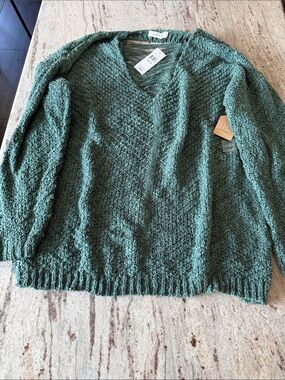 Taylor & Sage Chunky V-Neck Sweater in Teal Green